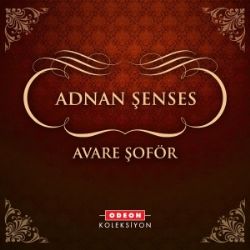 Adnan Şenses Avare Şöför
