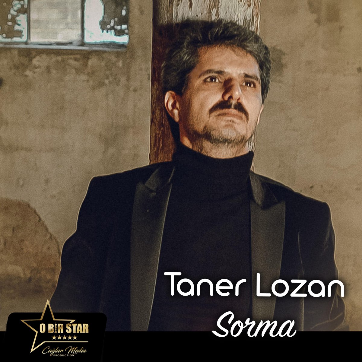 Taner Lozan Sorma